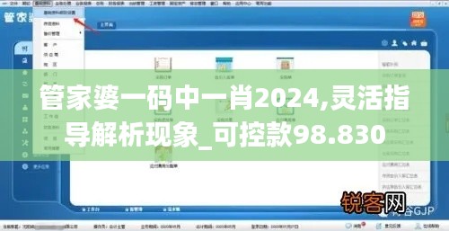 管家婆一码中一肖2024,灵活指导解析现象_可控款98.830