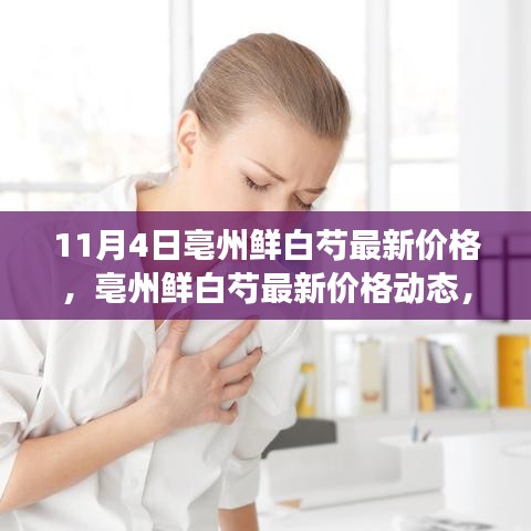 探寻市场波动背后的故事，亳州鲜白芍最新价格动态（11月4日）