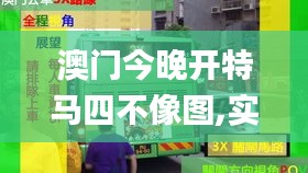 澳门今晚开特马四不像图,实地数据评估解析_SE版24.503