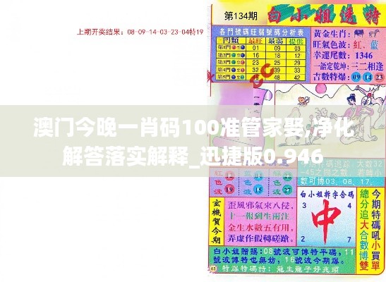 澳门今晚一肖码100准管家娶,净化解答落实解释_迅捷版0.946