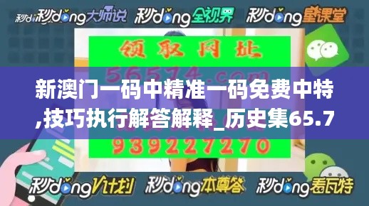 新澳门一码中精准一码免费中特,技巧执行解答解释_历史集65.756