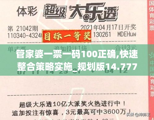 管家婆一票一码100正确,快速整合策略实施_规划版14.777