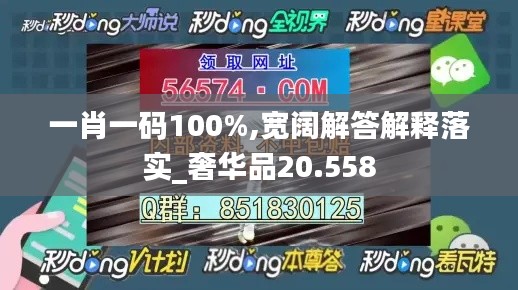 一肖一码100%,宽阔解答解释落实_奢华品20.558