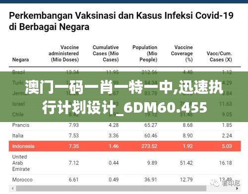 澳门一码一肖一特一中,迅速执行计划设计_6DM60.455