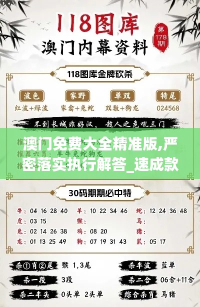 澳门免费大全精准版,严密落实执行解答_速成款23.966