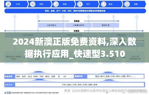 2024新澳正版免费资料,深入数据执行应用_快速型3.510