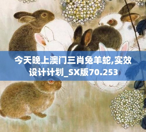 今天晚上澳门三肖兔羊蛇,实效设计计划_SX版70.253