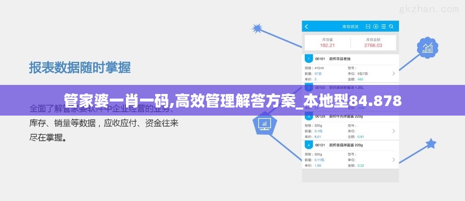 管家婆一肖一码,高效管理解答方案_本地型84.878