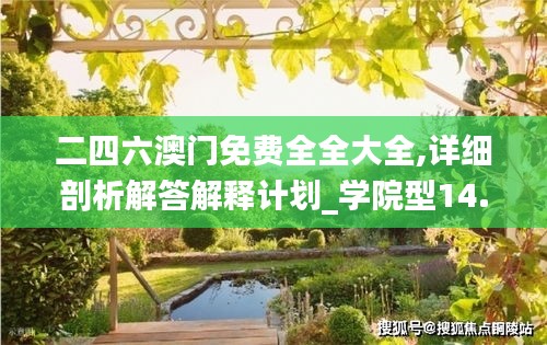 二四六澳门免费全全大全,详细剖析解答解释计划_学院型14.305