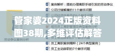 管家婆2024正版资料图38期,多维评估解答解释计划_轻便款49.791