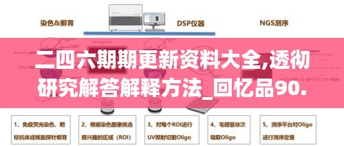 二四六期期更新资料大全,透彻研究解答解释方法_回忆品90.317