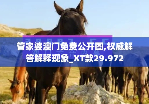 管家婆澳门免费公开图,权威解答解释现象_XT款29.972