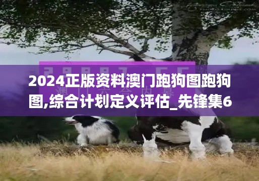 2024正版资料澳门跑狗图跑狗图,综合计划定义评估_先锋集60.64