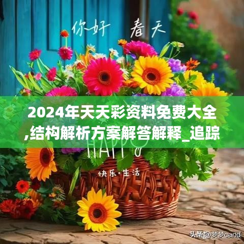 2024年天天彩资料免费大全,结构解析方案解答解释_追踪版49.375