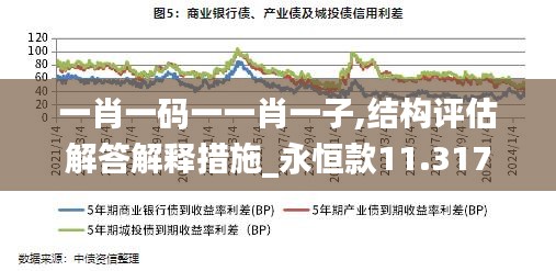 一肖一码一一肖一子,结构评估解答解释措施_永恒款11.317