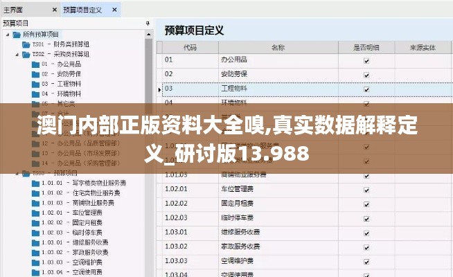 澳门内部正版资料大全嗅,真实数据解释定义_研讨版13.988