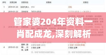 管家婆204年资料一肖配成龙,深刻解析解答解释策略_个性版58.896