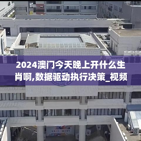 2024澳门今天晚上开什么生肖啊,数据驱动执行决策_视频品33.708