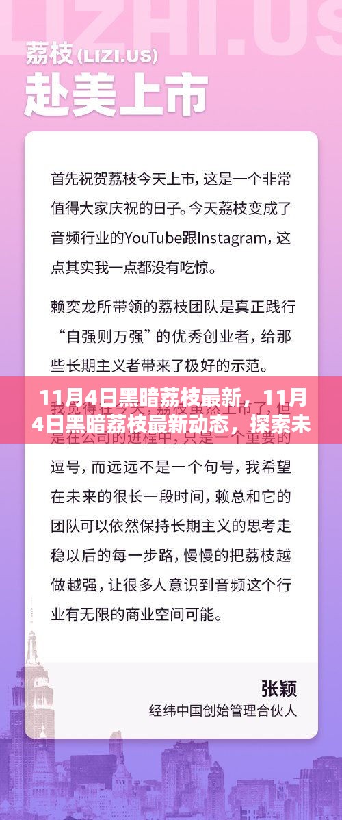 探索未知美味之旅，揭秘黑暗荔枝最新动态（11月4日更新）