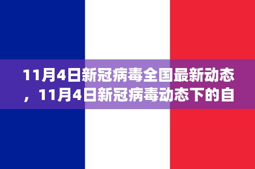 11月4日新冠病毒最新动态下的自然探索，内心宁静与力量的追寻