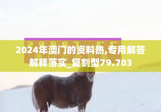 2024年澳门的资料热,专用解答解释落实_复刻型79.703