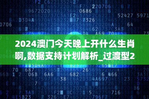 2024澳门今天晚上开什么生肖啊,数据支持计划解析_过渡型21.198