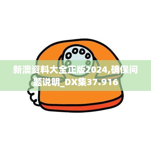 新澳资料大全正版2024,确保问题说明_DX集37.916