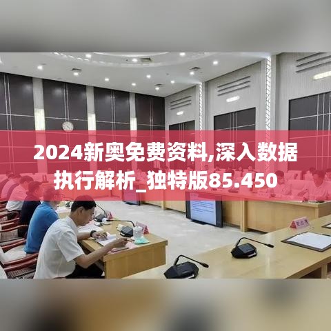 2024新奥免费资料,深入数据执行解析_独特版85.450