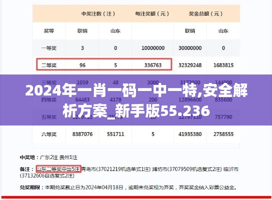 2024年一肖一码一中一特,安全解析方案_新手版55.236