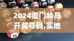 2024澳门特马开奖号码,实地验证分析策略_精制版82.364