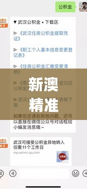 新澳精准资料免费提供221期,供应解答解释落实_高级款37.551