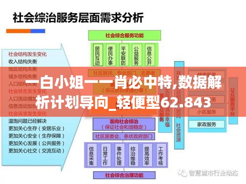 一白小姐一一肖必中特,数据解析计划导向_轻便型62.843