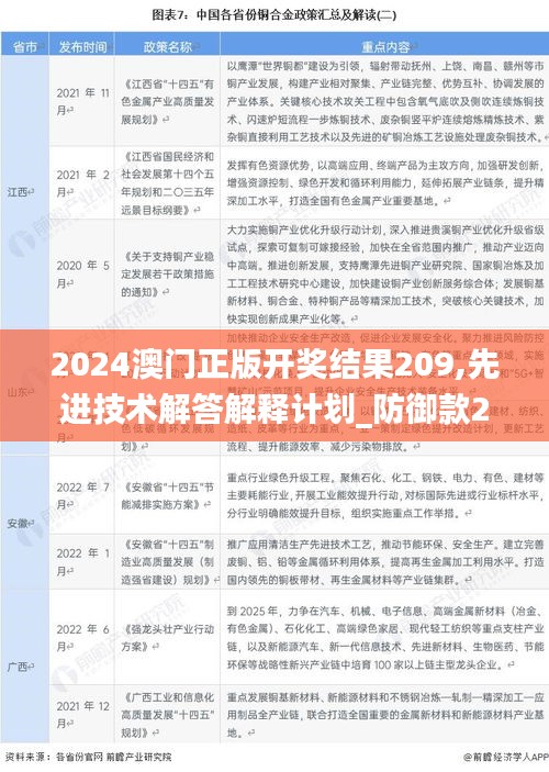 2024澳门正版开奖结果209,先进技术解答解释计划_防御款20.222