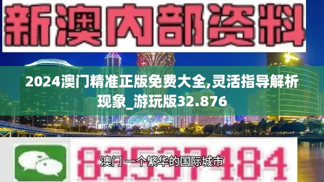 2024澳门精准正版免费大全,灵活指导解析现象_游玩版32.876