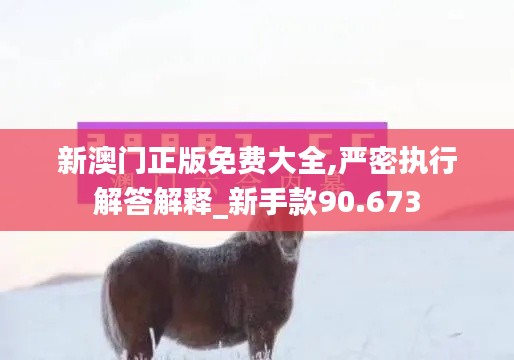 新澳门正版免费大全,严密执行解答解释_新手款90.673