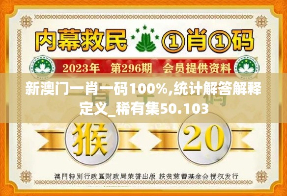 新澳门一肖一码100%,统计解答解释定义_稀有集50.103