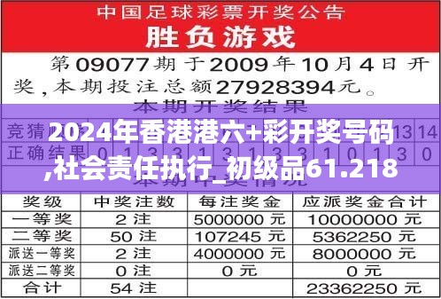 2024年香港港六+彩开奖号码,社会责任执行_初级品61.218