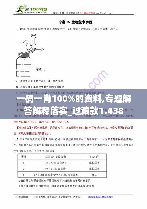 一码一肖100%的资料,专题解答解释落实_过渡款1.438