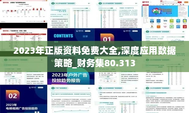 2023年正版资料免费大全,深度应用数据策略_财务集80.313