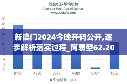 新澳门2024今晚开码公开,逐步解析落实过程_简易型62.205