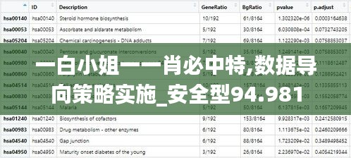 一白小姐一一肖必中特,数据导向策略实施_安全型94.981