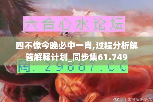 四不像今晚必中一肖,过程分析解答解释计划_同步集61.749