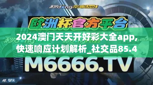 2024澳门天天开好彩大全app,快速响应计划解析_社交品85.411