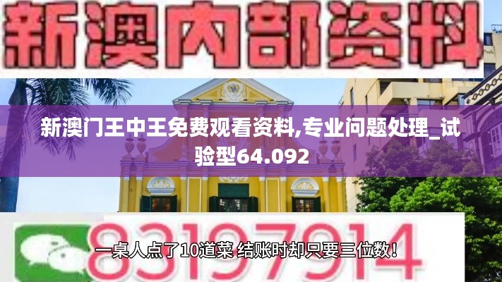 新澳门王中王免费观看资料,专业问题处理_试验型64.092