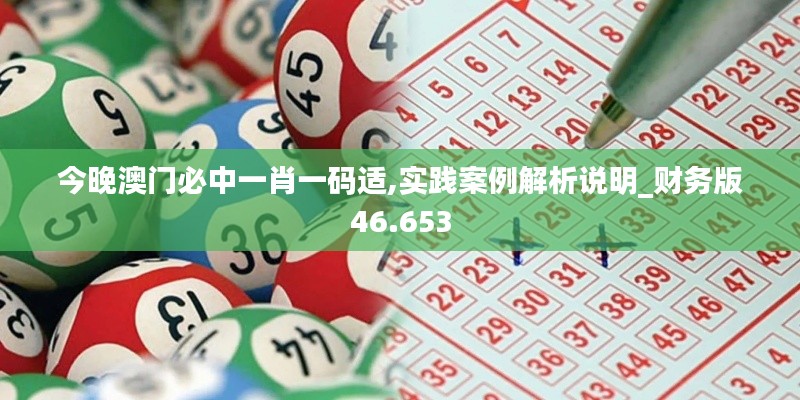 今晚澳门必中一肖一码适,实践案例解析说明_财务版46.653