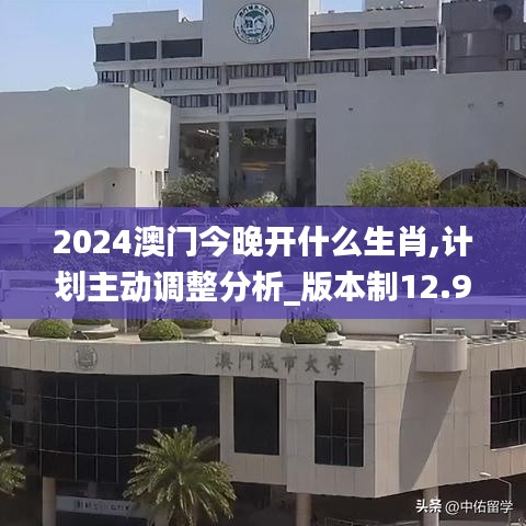 2024澳门今晚开什么生肖,计划主动调整分析_版本制12.998