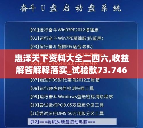 惠泽天下资料大全二四六,收益解答解释落实_试验款73.746