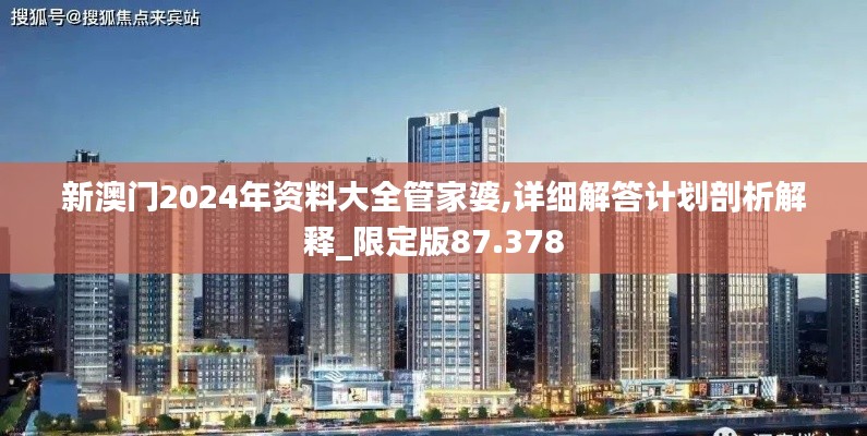 新澳门2024年资料大全管家婆,详细解答计划剖析解释_限定版87.378