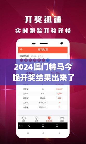 2024澳门特马今晚开奖结果出来了,综合性计划评估_精美版17.251