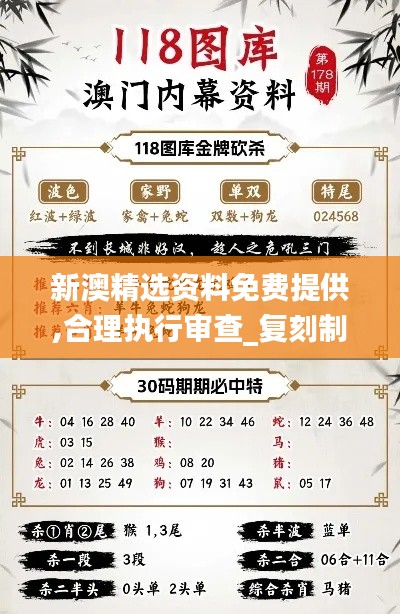 新澳精选资料免费提供,合理执行审查_复刻制46.408